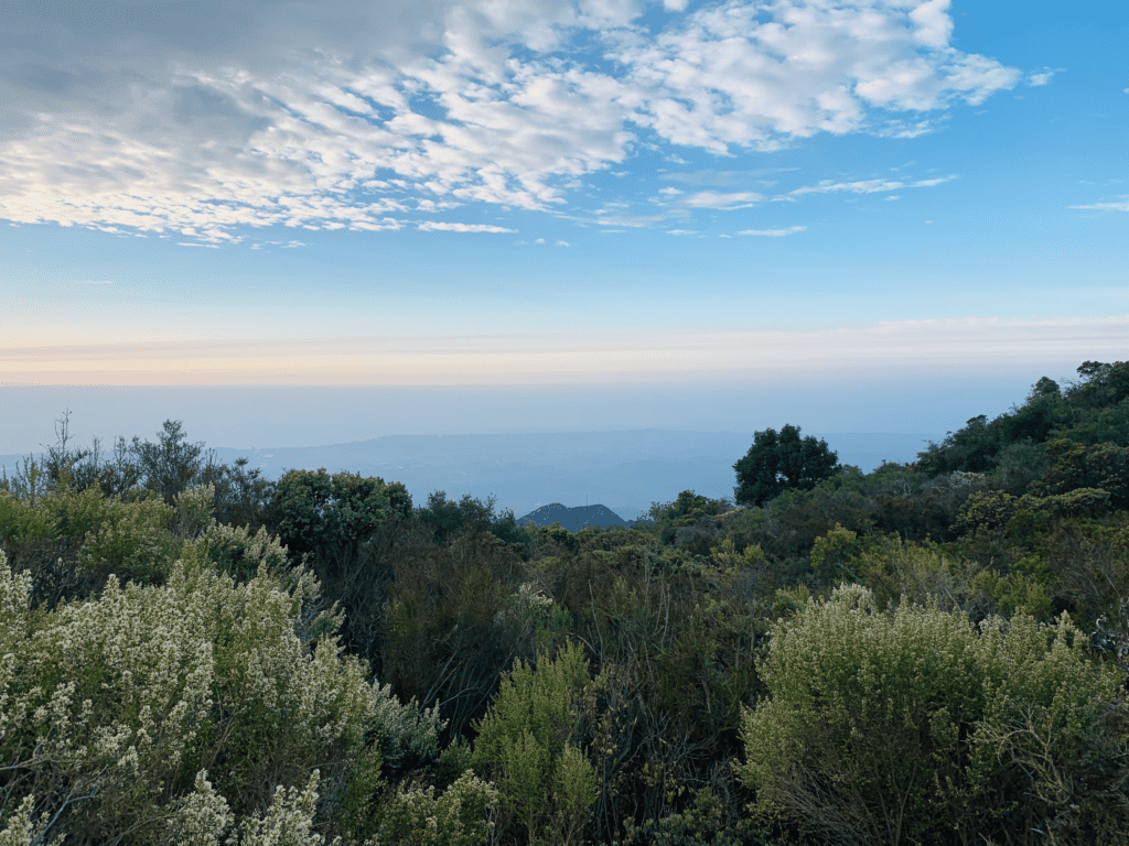 Escaping wildfire smoke way up in elevation at the Los Padres National Forest in November 2018