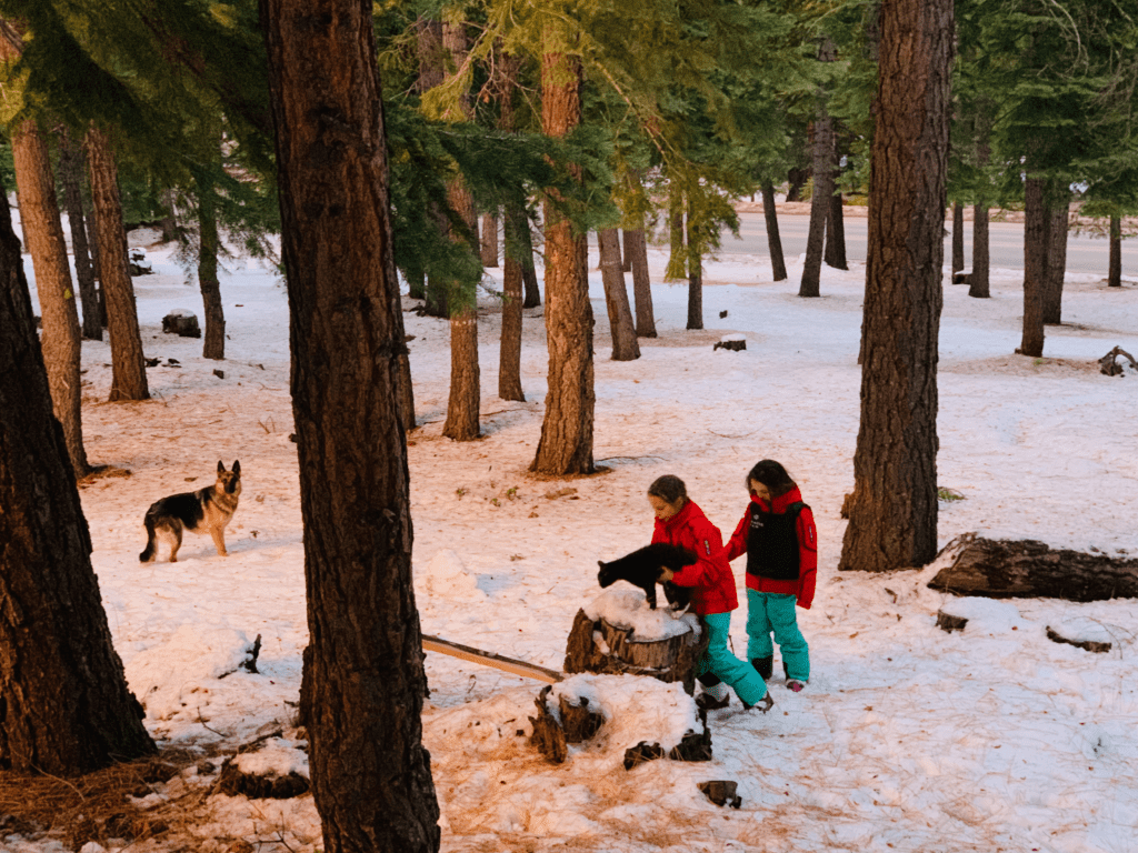 Van kids and tuxedo cat and German Shepard out in the snow during a family ski trip in Tahoe at Northstar Ski Resort