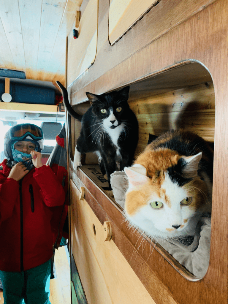 Our beloved van cats and daughter on a van ski trip to Kirkwood in Dec 2018