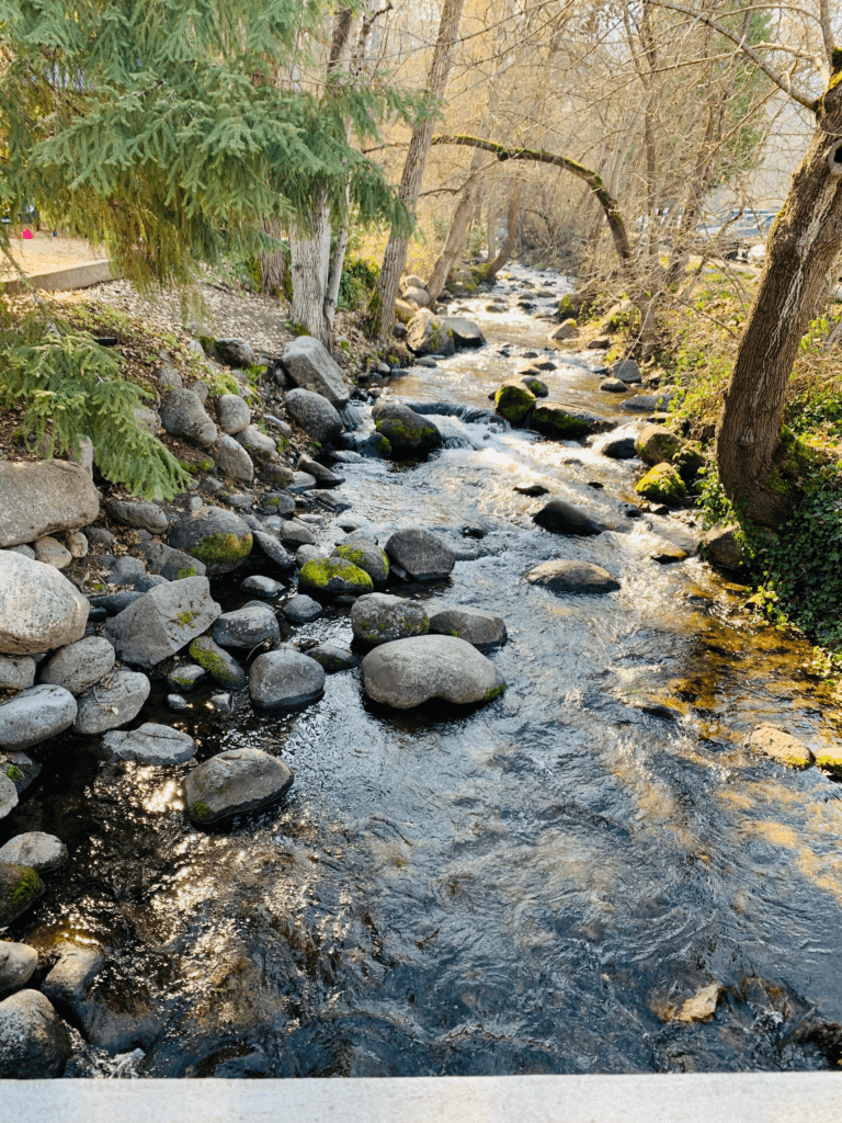 Ashland Creek flowing through Lithia Park