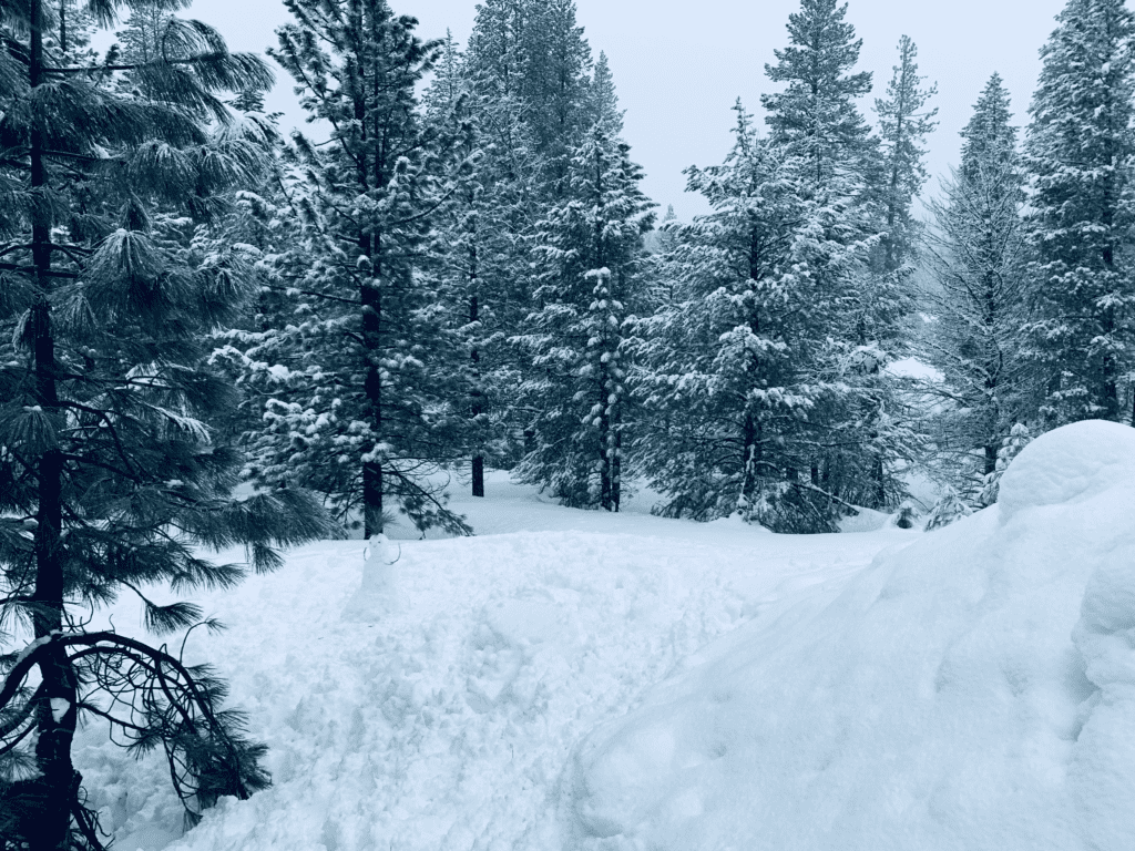 A snowman camouflaged against the white snow during a snowy Tahoe winter at Coachland RV Park