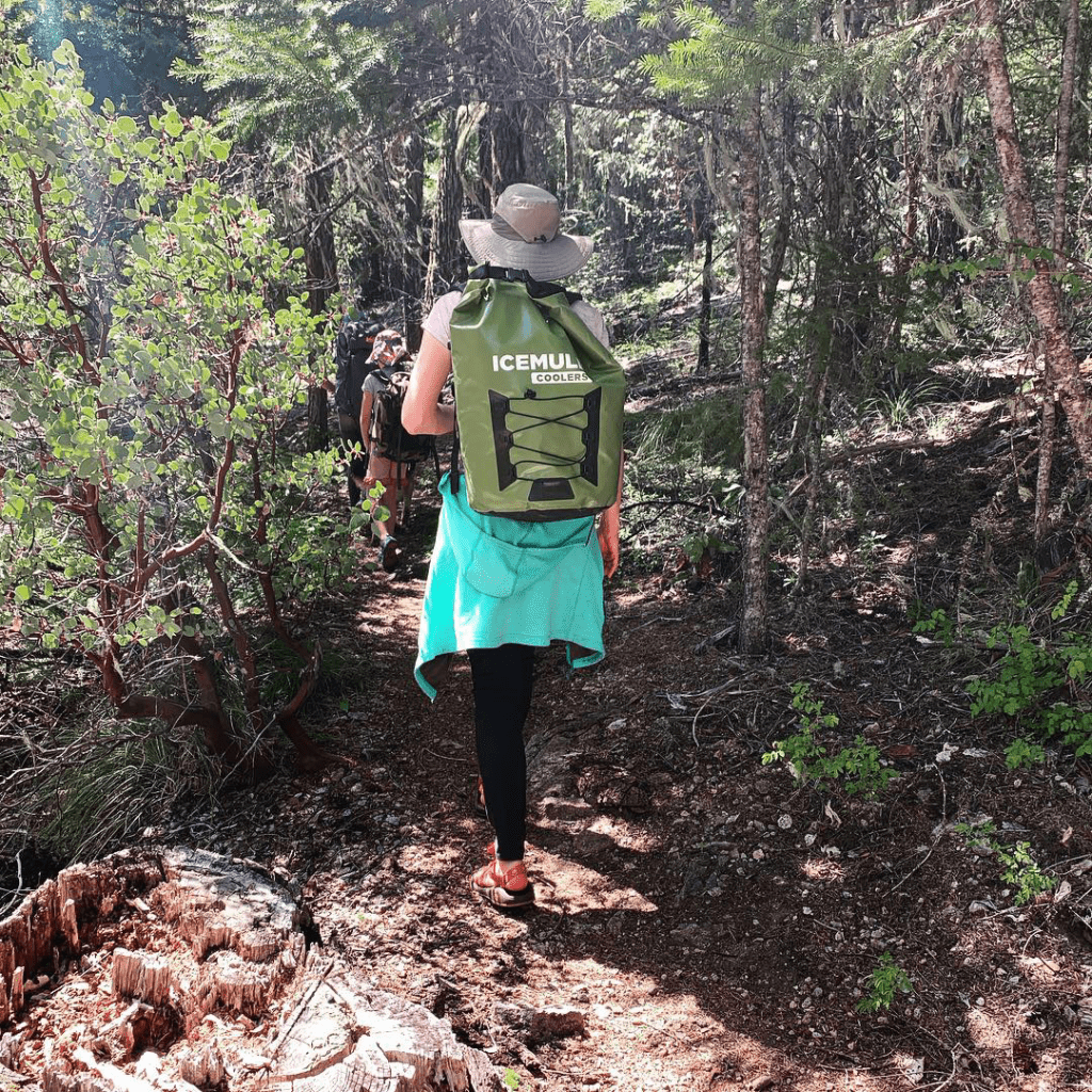 Family hiking to rock climbing spot at Rattlesnake Rock in the Rogue Valley with ICEMULE Cooler on back