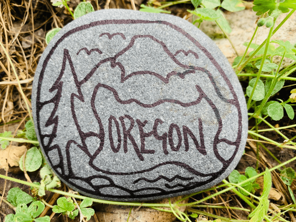 Rock Art With Oregon State, a Douglas fir tree on the ground with leaves in background