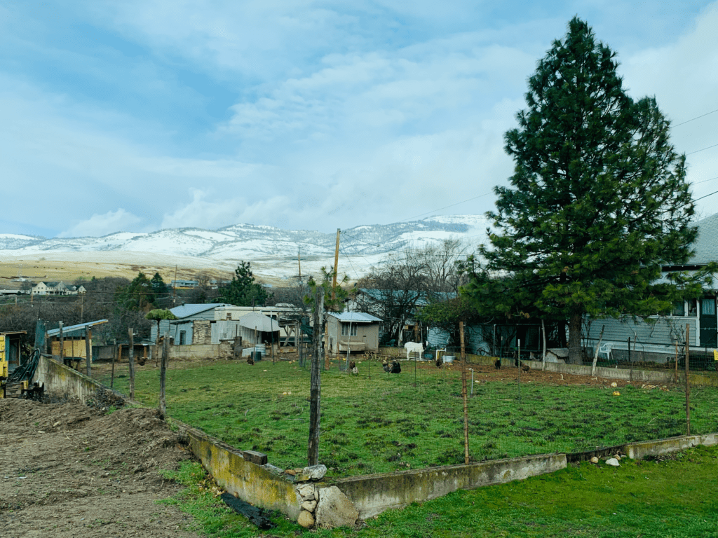 Quaint city of Ashland with farm animals in city limits and rolling snow covered Cascades in the distance