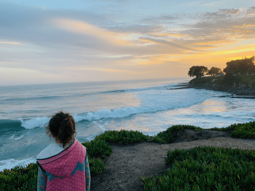 A kid on a walk in Santa Cruz with the waves of the Pacific Ocean in the background