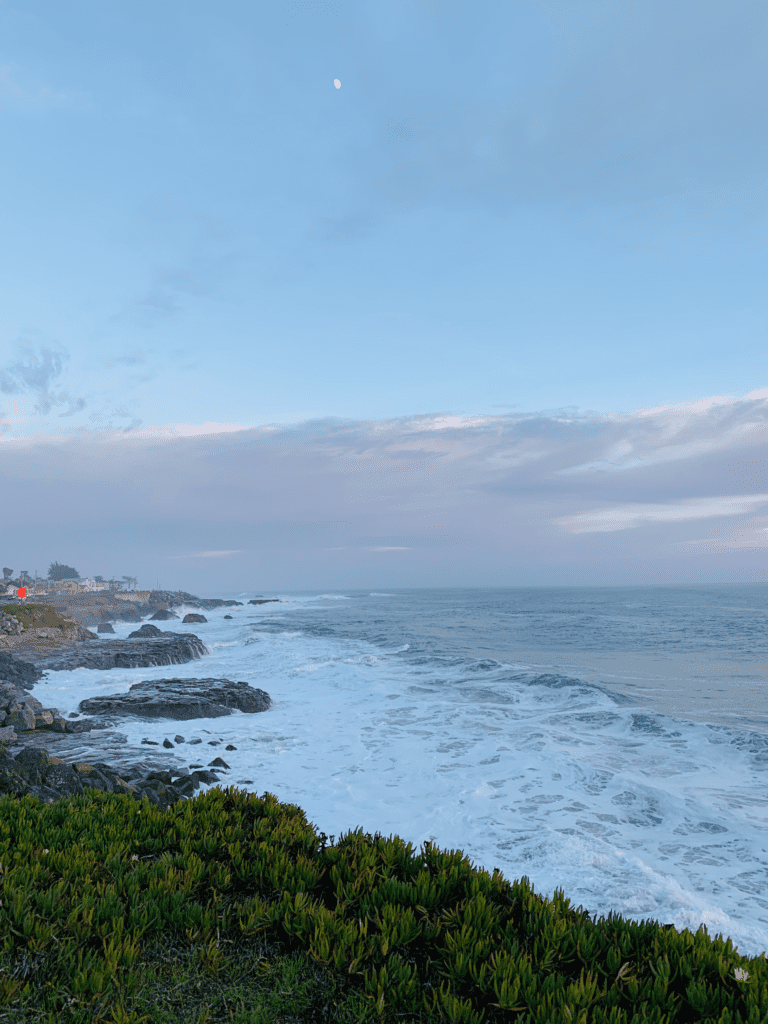 The waves on a Santa Cruz dog beach with the moon