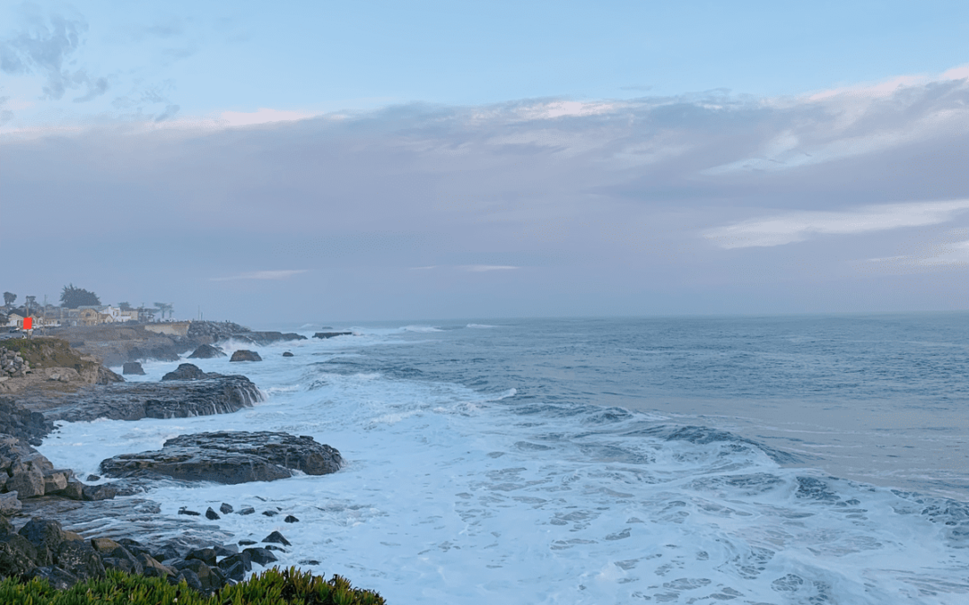 The waves on a Santa Cruz dog beach with the moon