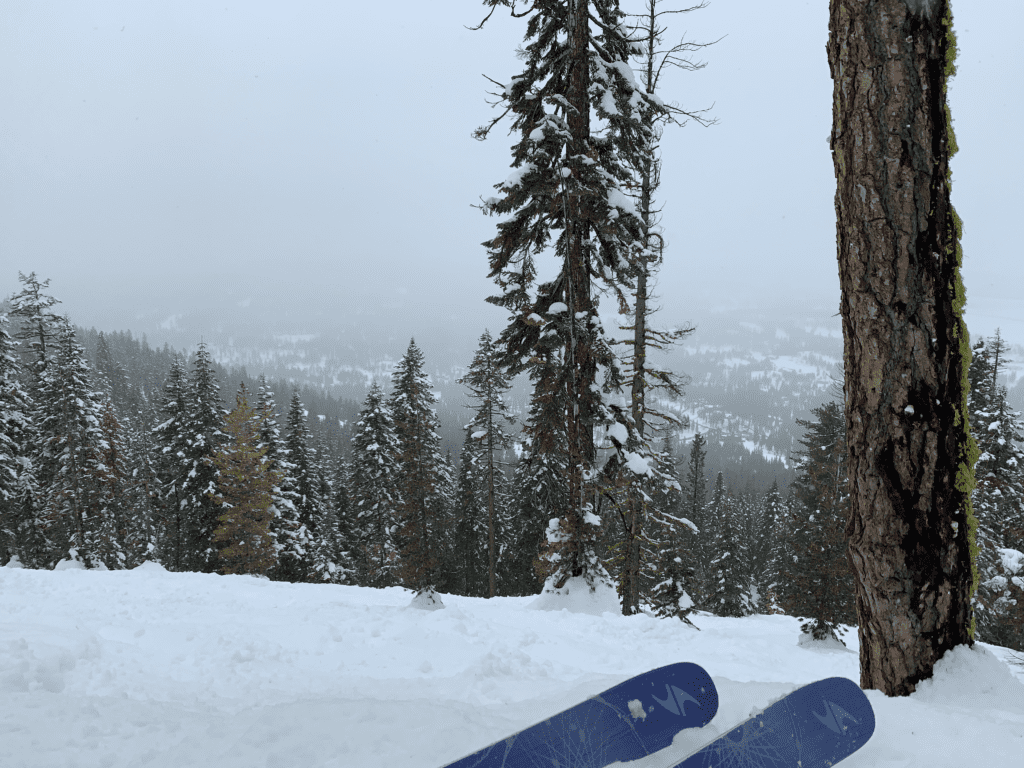 Resting skis on the mountain with pine trees in the background