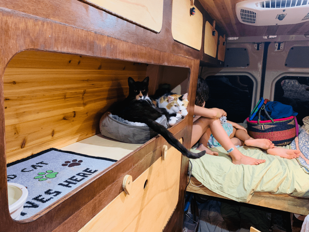 Cat cubby for the van's precious cargo tuxedo and calico cats with girls with band-aid on bed and woven colorful basket in background