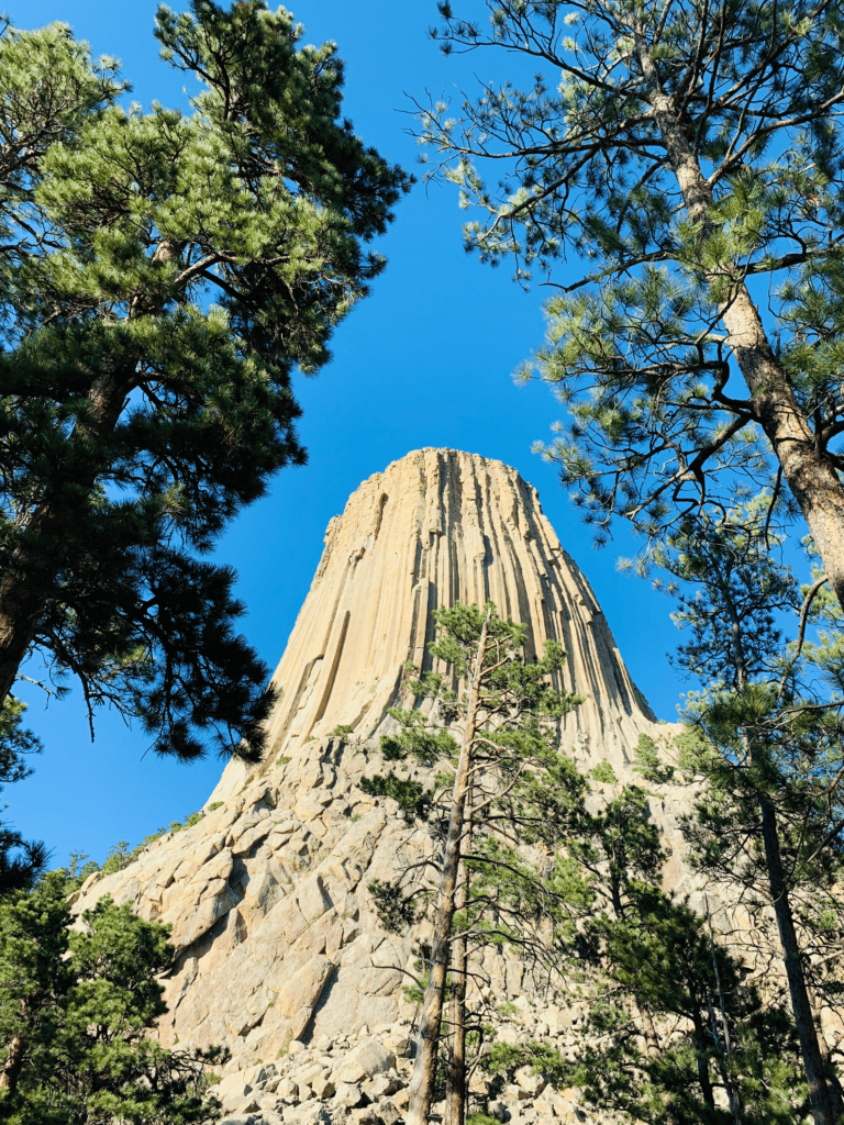 Trees surrounding Devils Tower with blue sky in the background at Devils Tower National Park