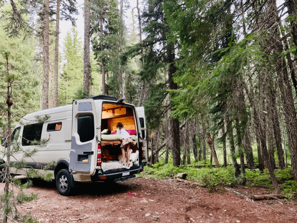 Hanging out of the van bedroom at a dispersed camp site with tall green coniferous trees in the background