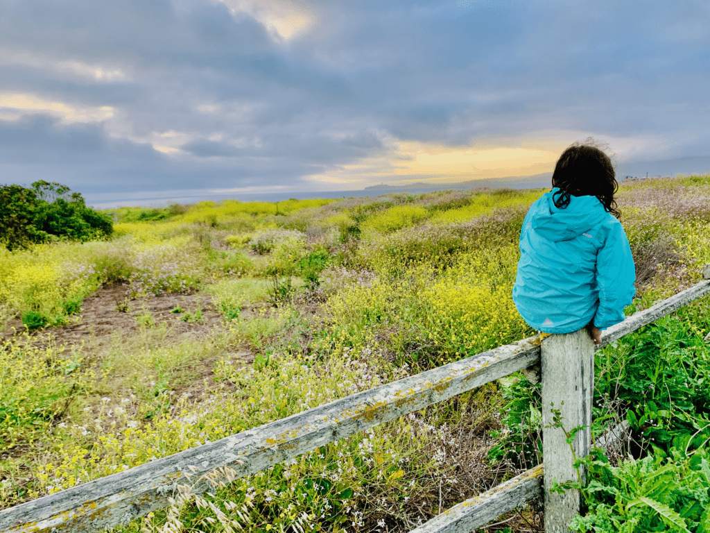 Little bird our daughter wearing LL Bean rain jacket perched on a fence in Half Moon Bay with flower fields and the cloudy Pacific Ocean in the background