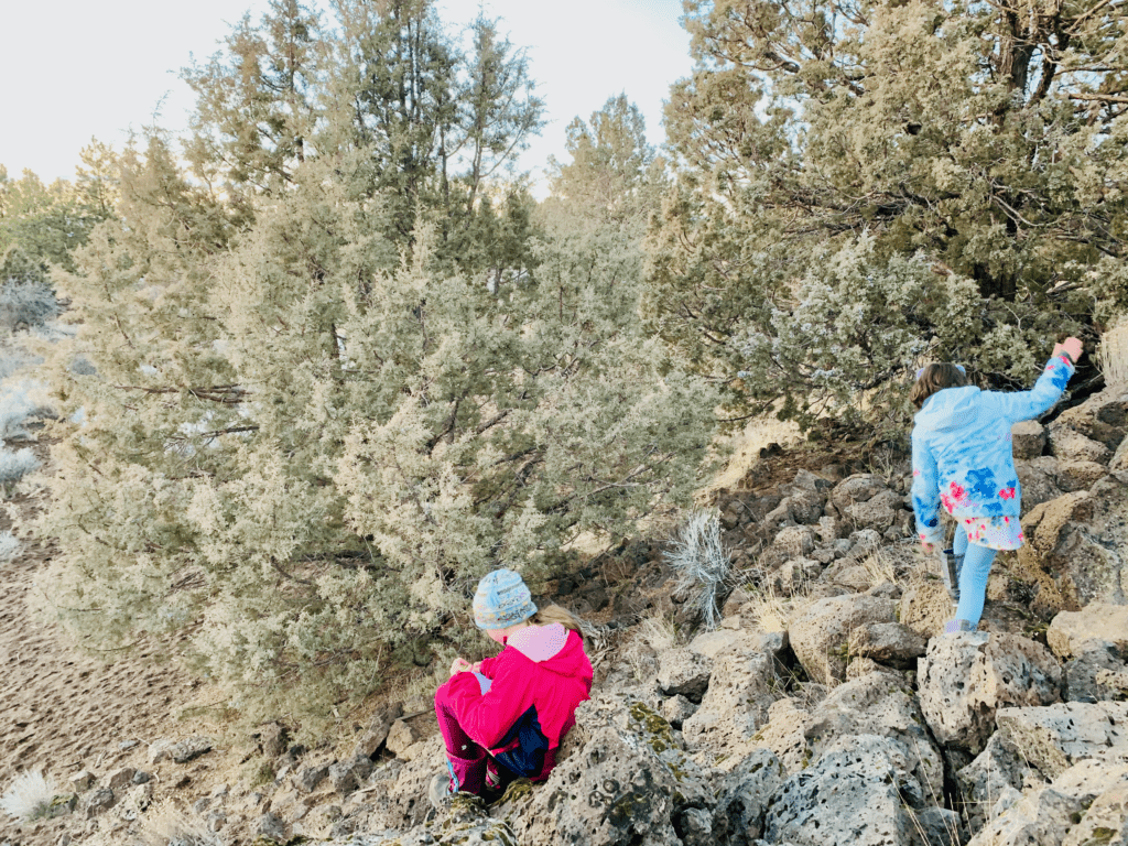 Dog Park in the High Desert of Bend with kids sitting and playing on volcanic rock with desert shrubs in the background