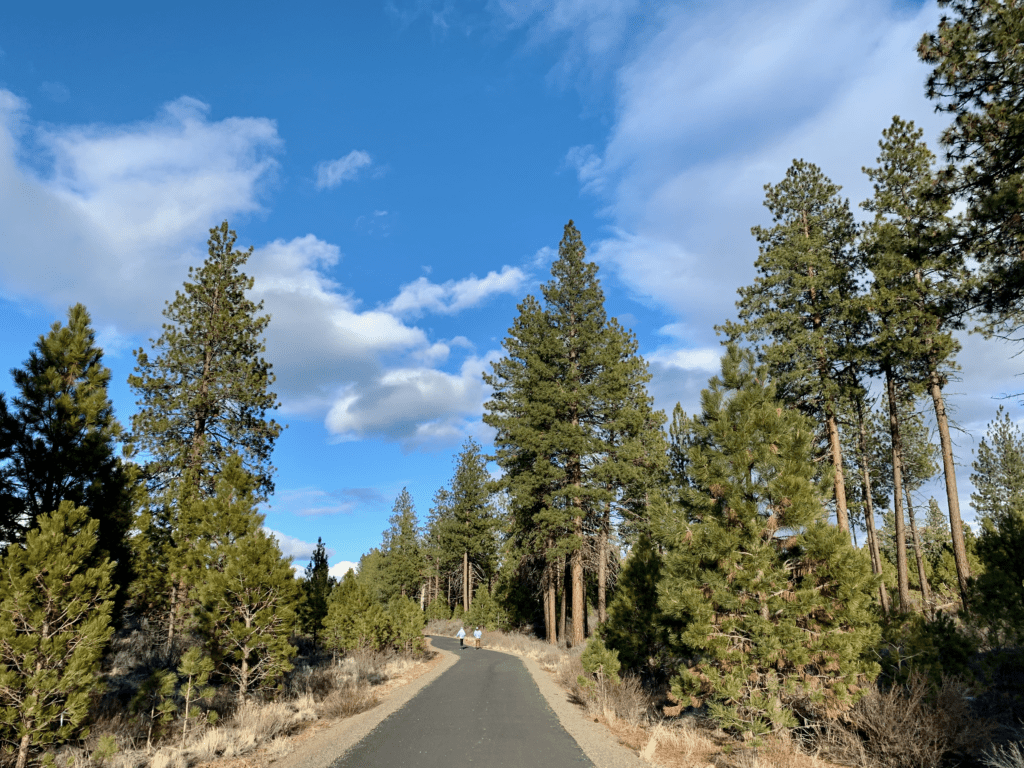 Bend Happy Trails in the High Desert landscape with towering pine and fir trees and blue cloudy skies in the background