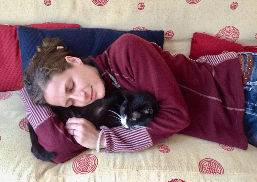 Forever Cuddling Best Buddy in Maine Tuxedo Cat Teddy Bear