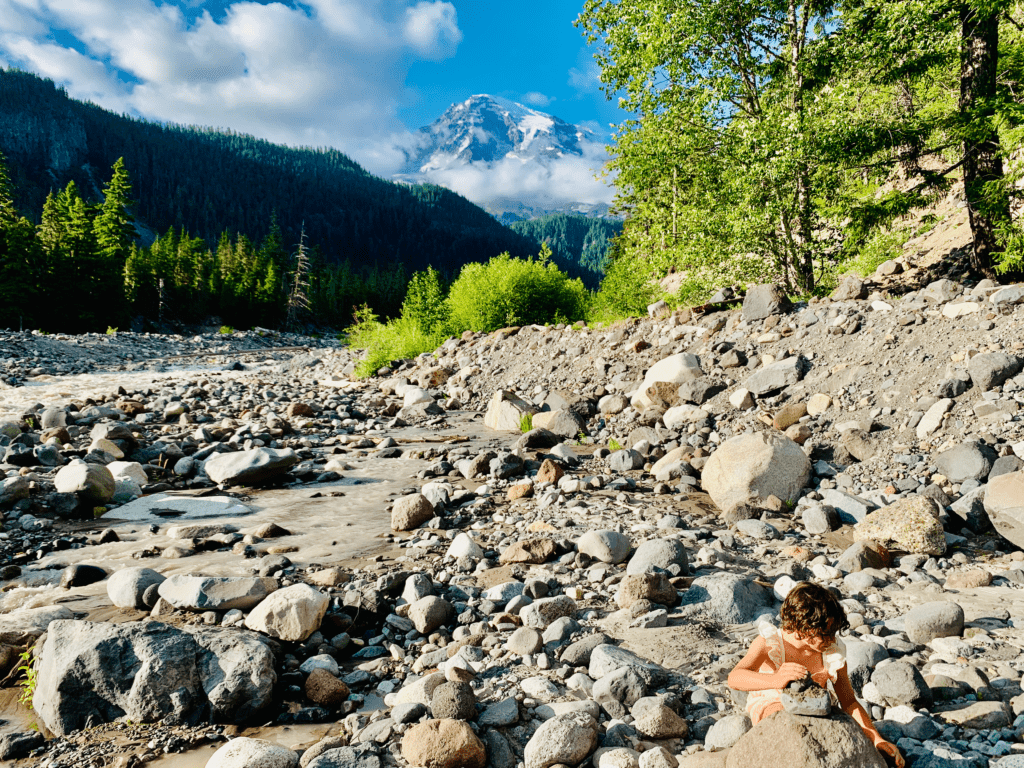 Mount Rainier kerns on a glacial riverbed with green shrubs and conifers with snow capped Mount Rainer in background