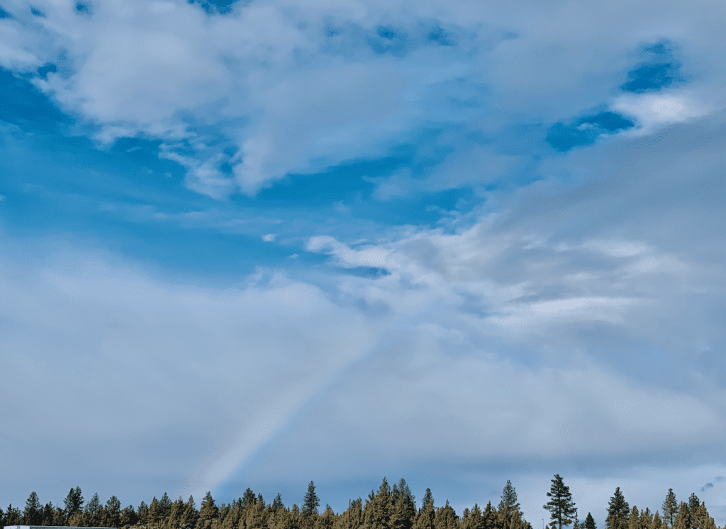 Rainbow over the trees with blue sky and clouds in the background