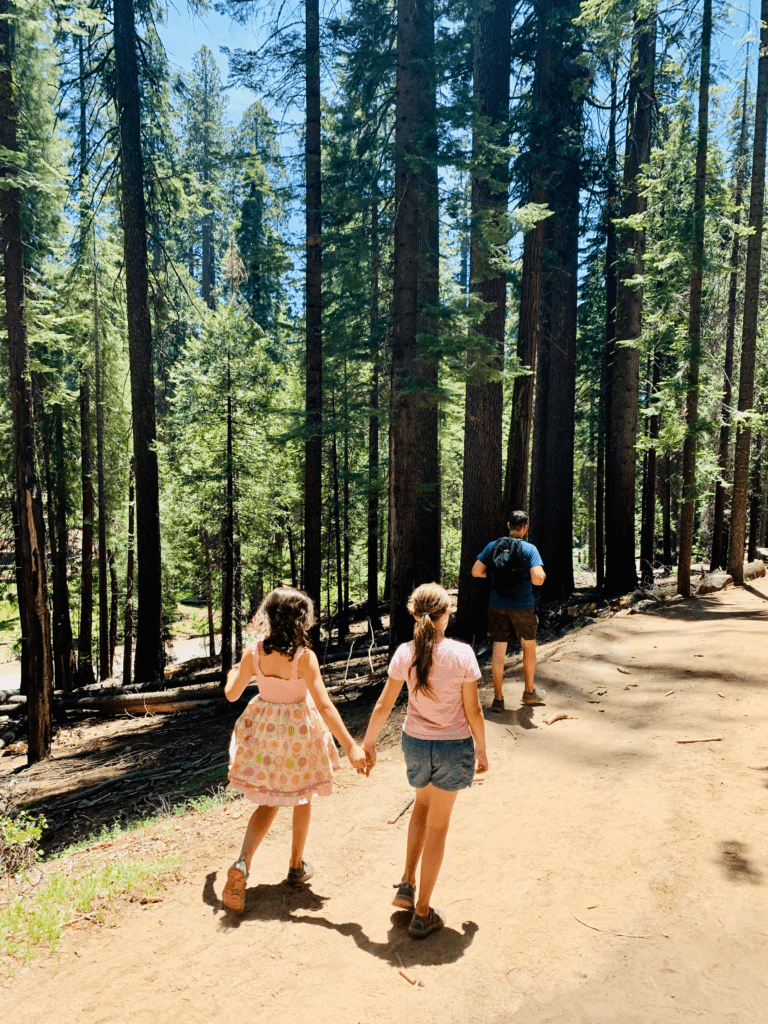 Sisters Holding Hands in Mariposa Grove wearing pink dress and shirt with sequoia trees in the background