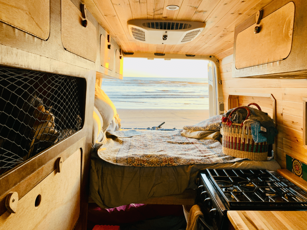 Kitties enjoying the sunset from their cubby with a net up for safety at Sunset Before the Sons of Beaches Rescue with van home in the background