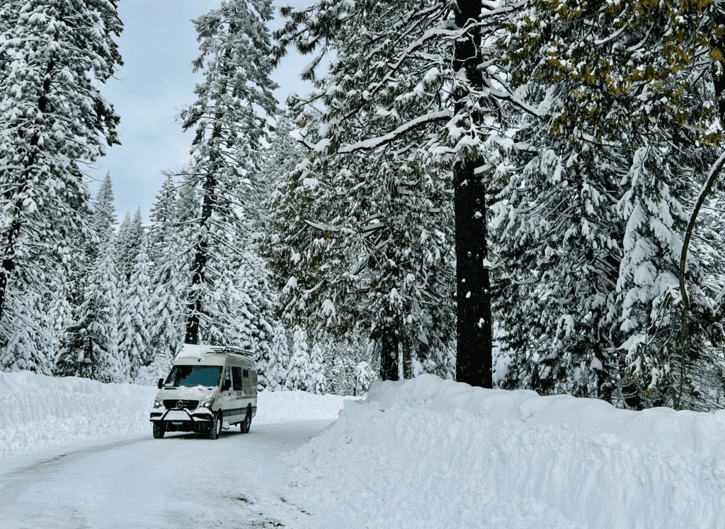 Take the Road Less Traveled Van Life in Shasta Trinity National Forest with towering white fir trees in the background