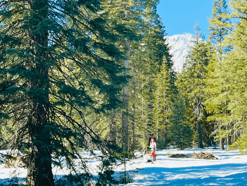 Off Grid Kids playing in fresh white snow Under snow covered peak of Mount Shasta with blue skies in background