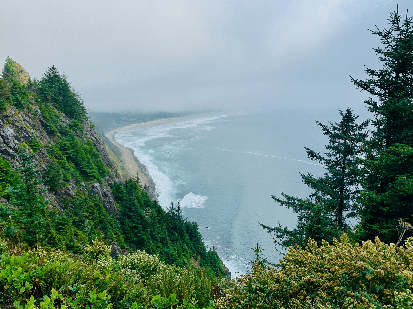 Magic in the National Parks: The Prolific Green Pacific Northwest