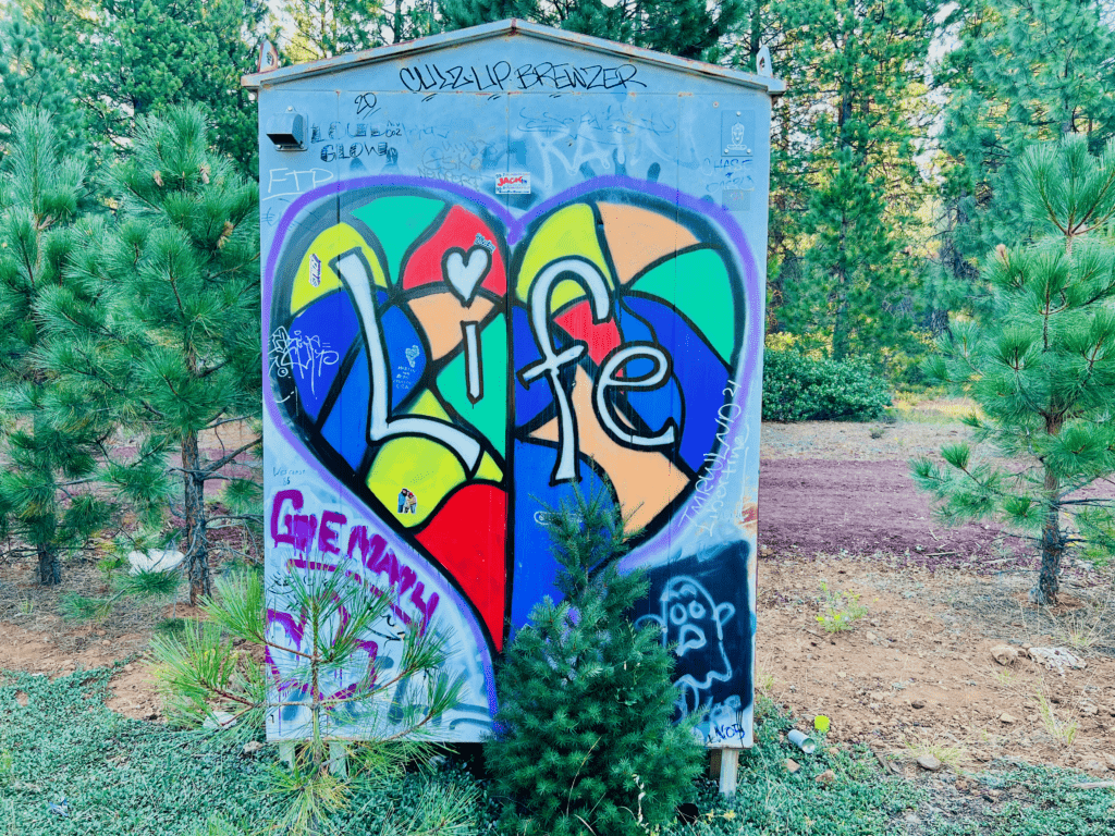 Wild Colorful Graffiti with Heart and words Life in the Shasta Trinity Forest with fir trees in the background