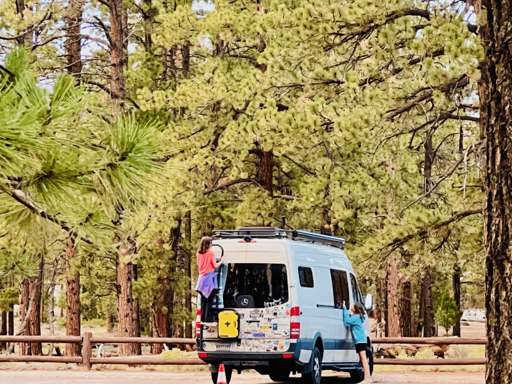 Kids Swarming the Van climbing on the ladder and at the window with tall green pine trees in the background