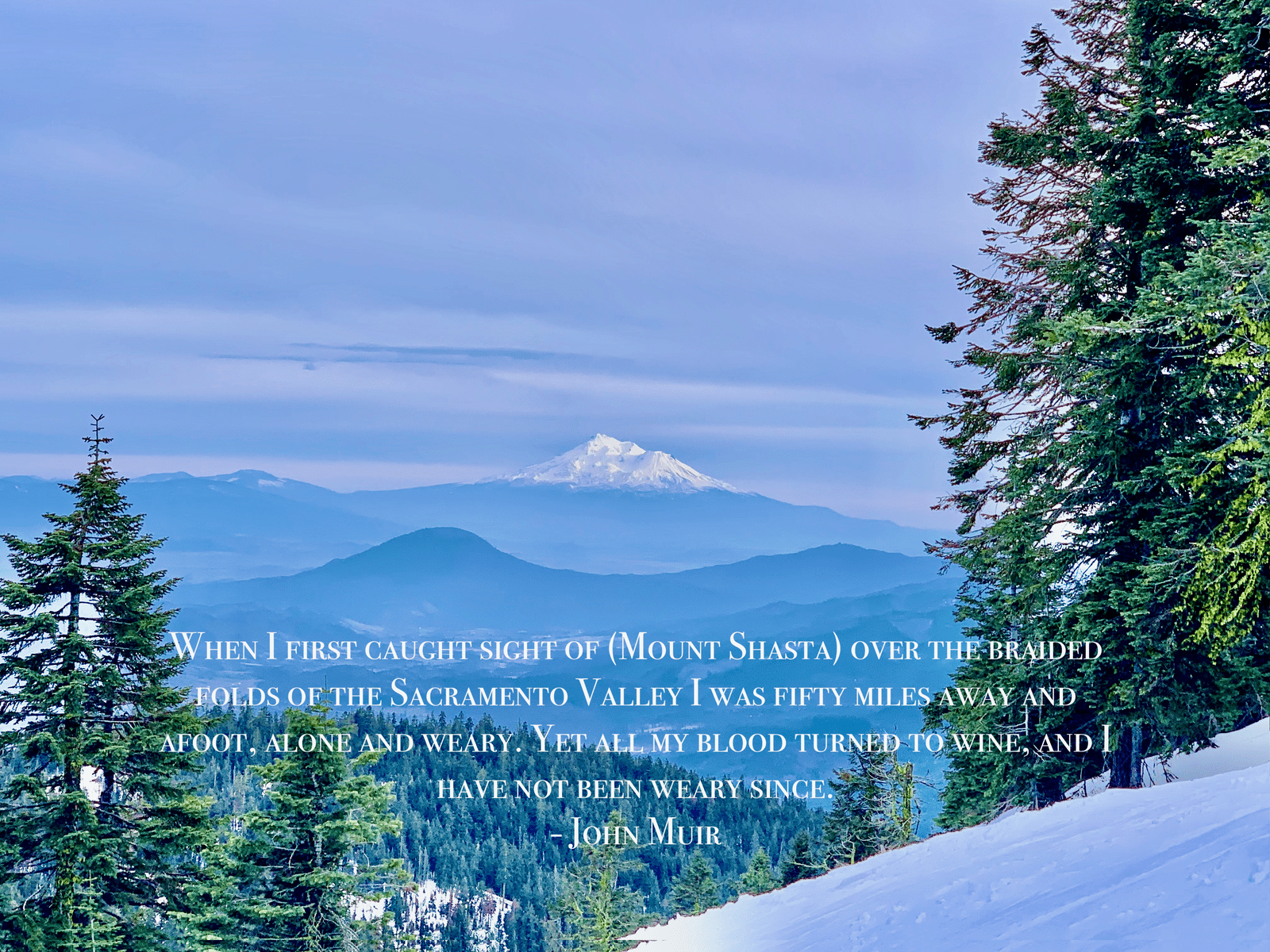 When I First Caught Site of Mount Shasta John Muir Quote