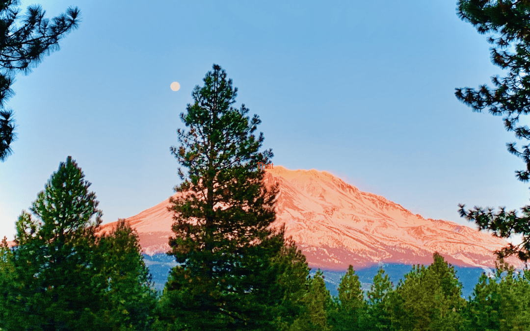 Magic in the National Parks: The Real Enchanted Forests of the American West are in Northern California