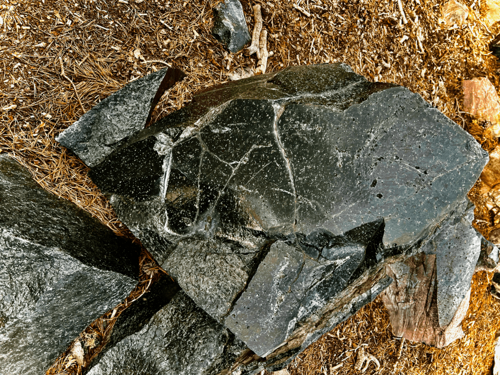 Giant chunk of Obsidian Rock in the Modoc National Forest at Little Glass Mountain with dried pine needles in the background