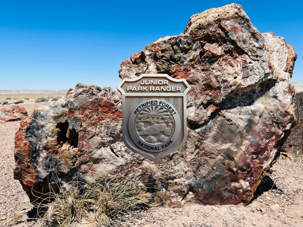 Petrified Forest National Park Junior Ranger Badge