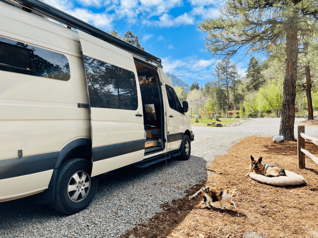 Van Life with kids and pets at the Colorado KOA campsite with beautiful calico kitty and girl German Shepard relaxing on dog bed