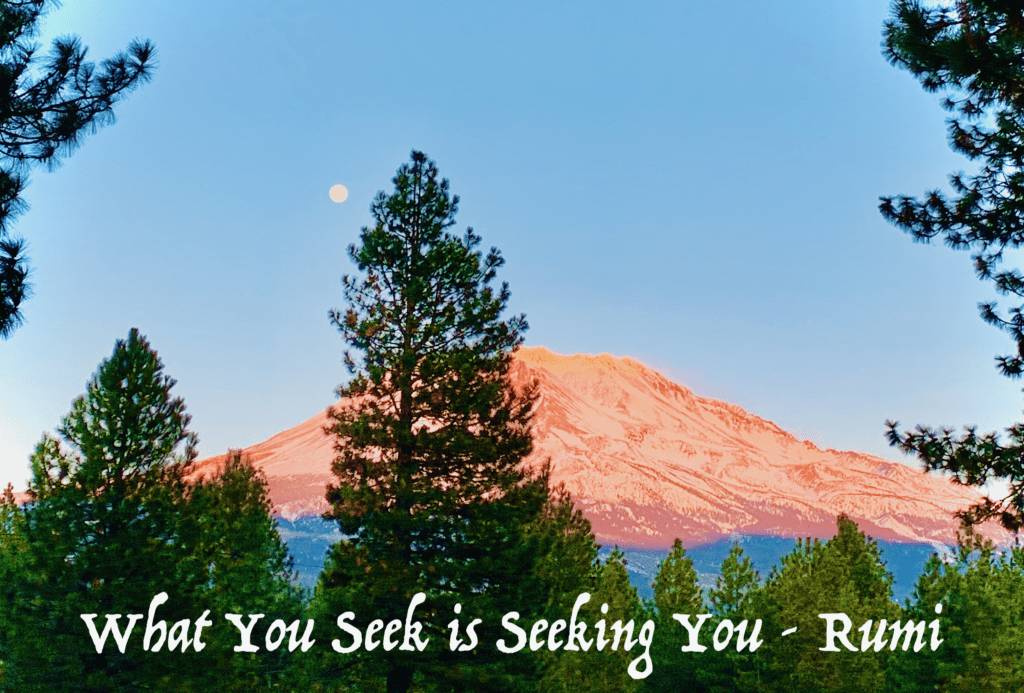 What You Seek is Seeking You Rumi quote