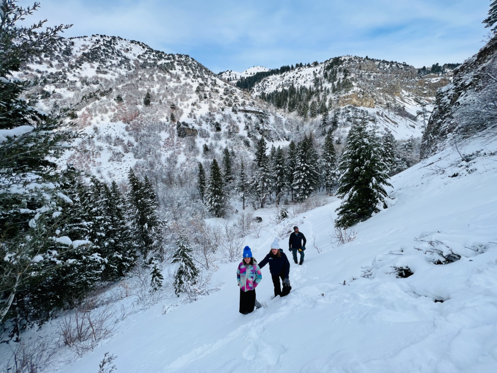 Christmas Tree Search in the Uinta National Forest