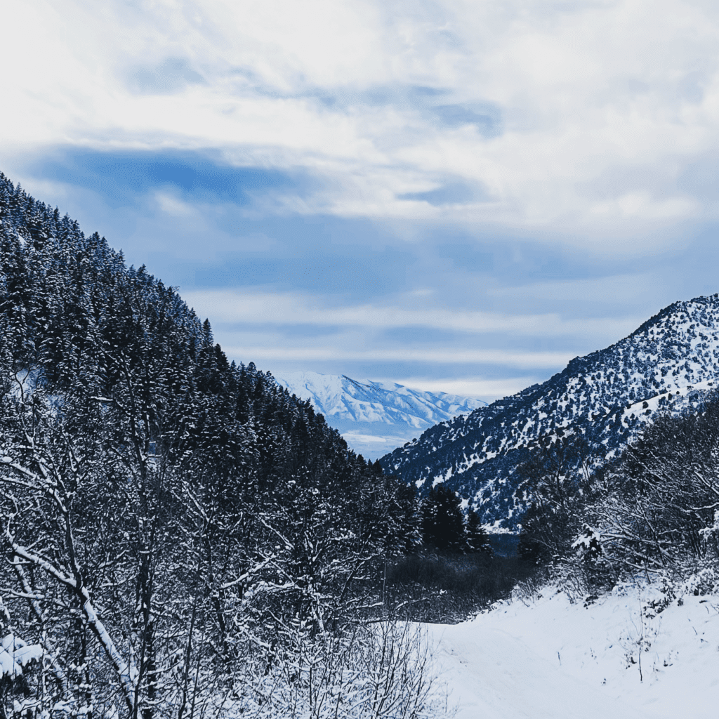 Uinta-Wasatch-Cache National Forest covered in snowfall with snowcapped mountains in the background