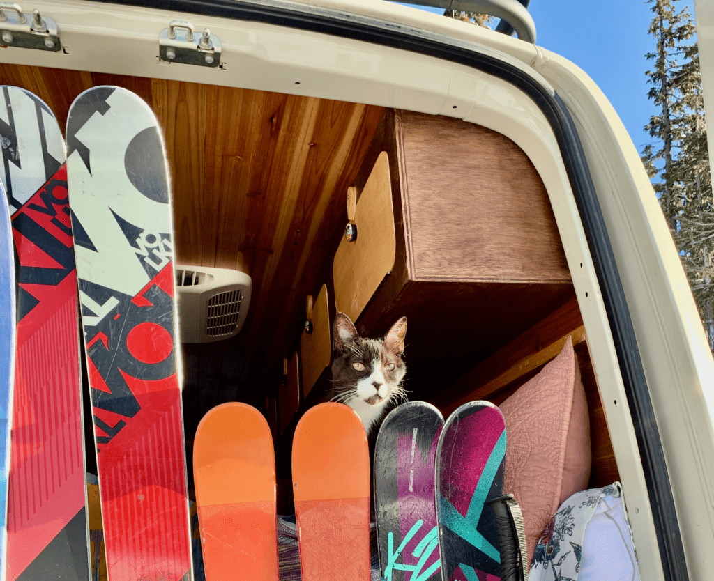 Our Best Van Ski Buddy Forever Tuxedo Cat Vata Man you made Van Life