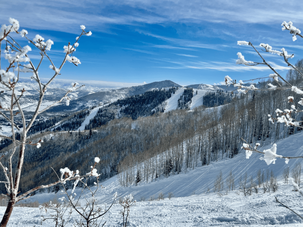 Snow Flowers and snowy Ski Runs at Park City Canyons Ski Resort on a sunny winter day with blue skies in the background