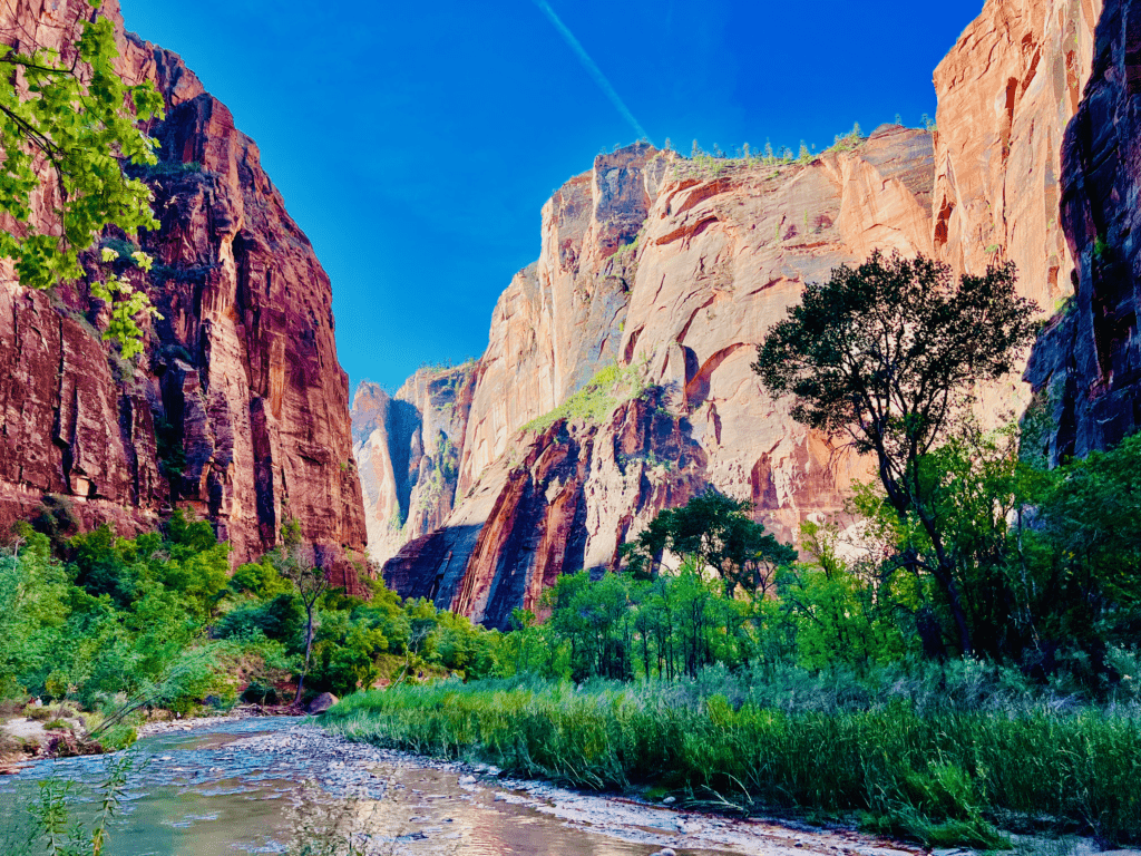 Zion National Park Virgin River with red rock cliffs in the background