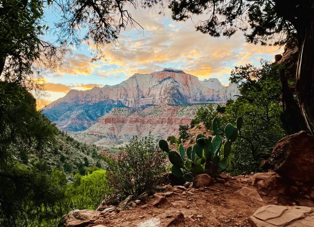 Zion passageway at sunset with cactus vegetation and colorful rock mountains in the background