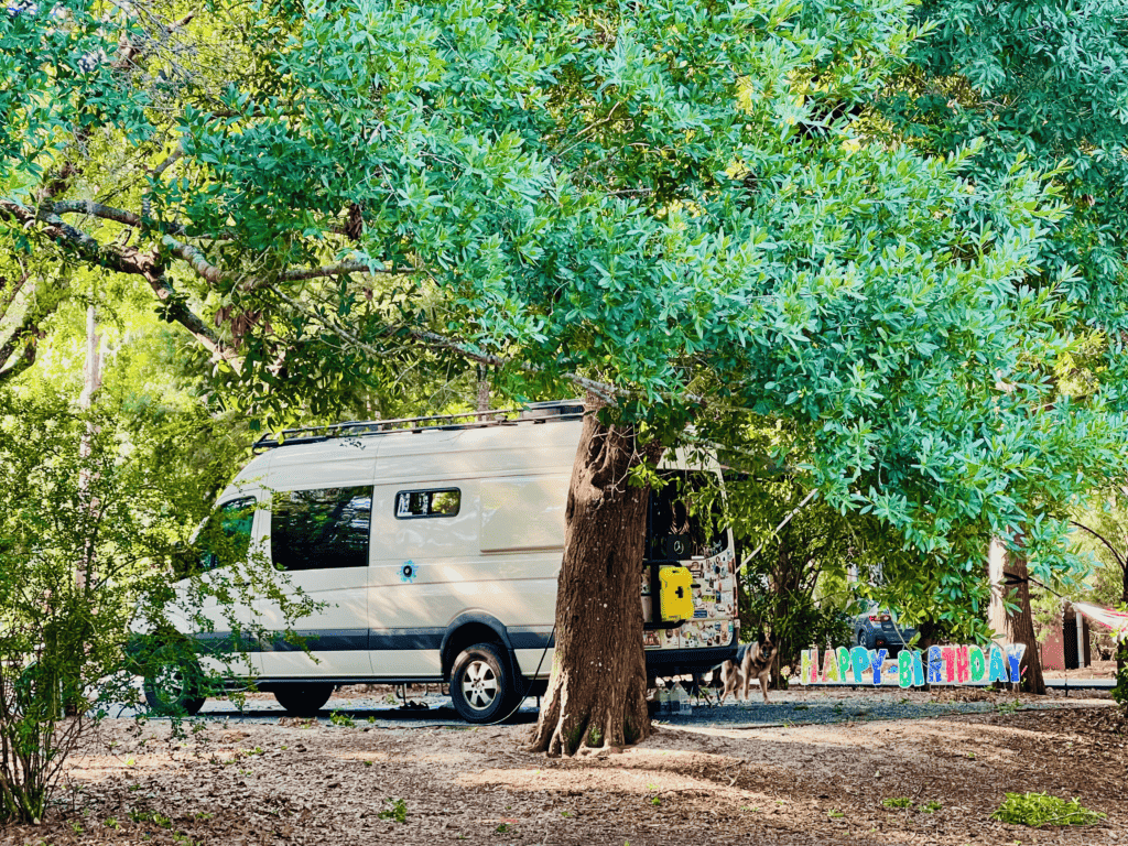 Van birthday camping at Disney with the beautiful deciduous tree Anna happy birthday sign with a sprinter van in the background