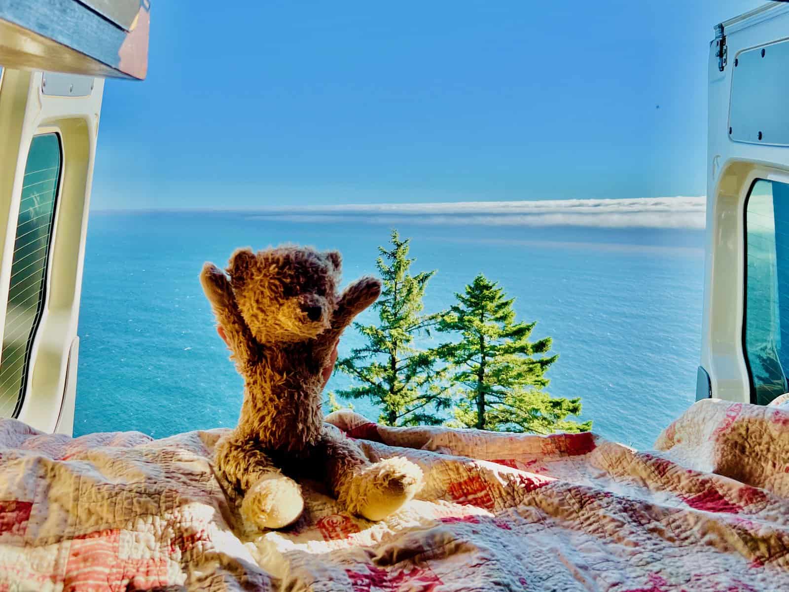 Coconut the Van Bear Van Life is the Best Life